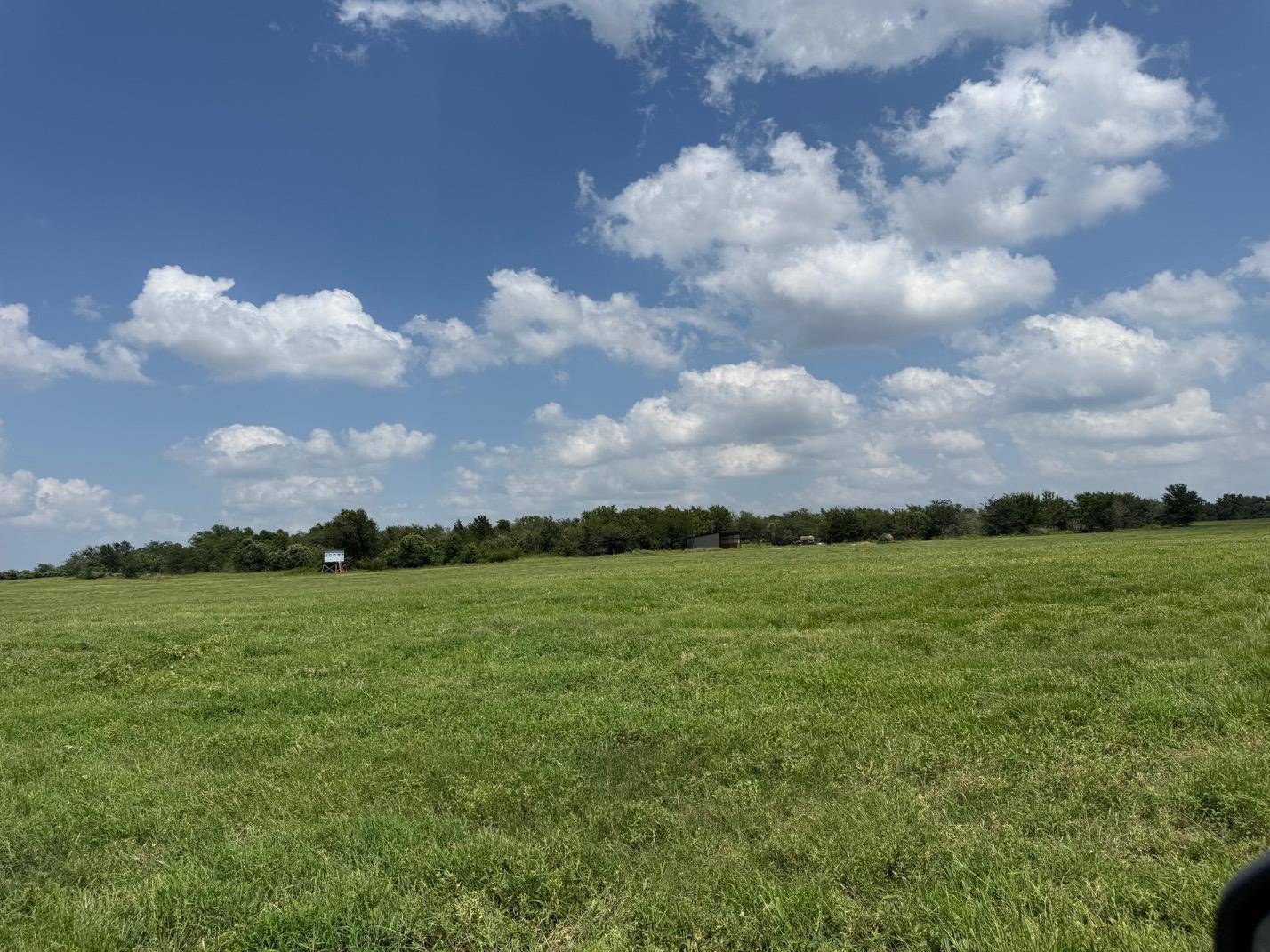 0000 TBD FM 979, Cameron, TX 76520