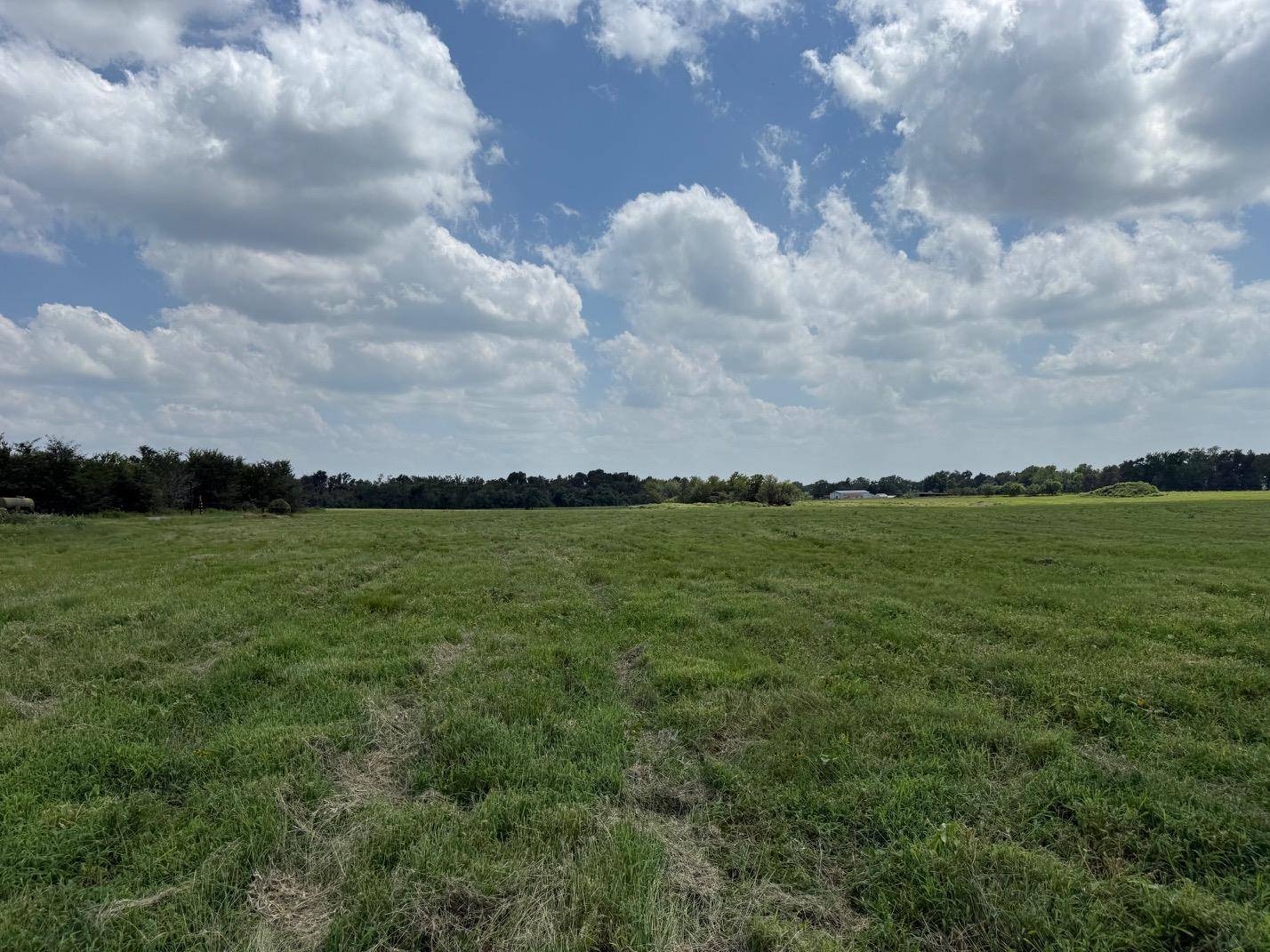 0000 TBD FM 979, Cameron, TX 76520