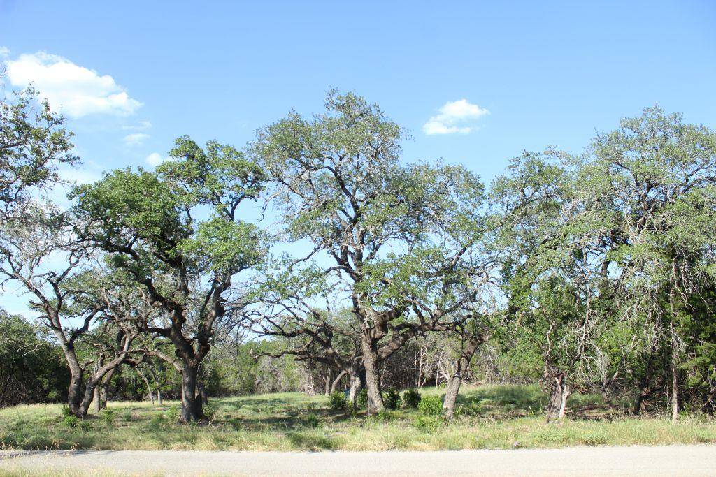 Lots 56-57 Travis Oaks DR, Marble Falls, TX 78654