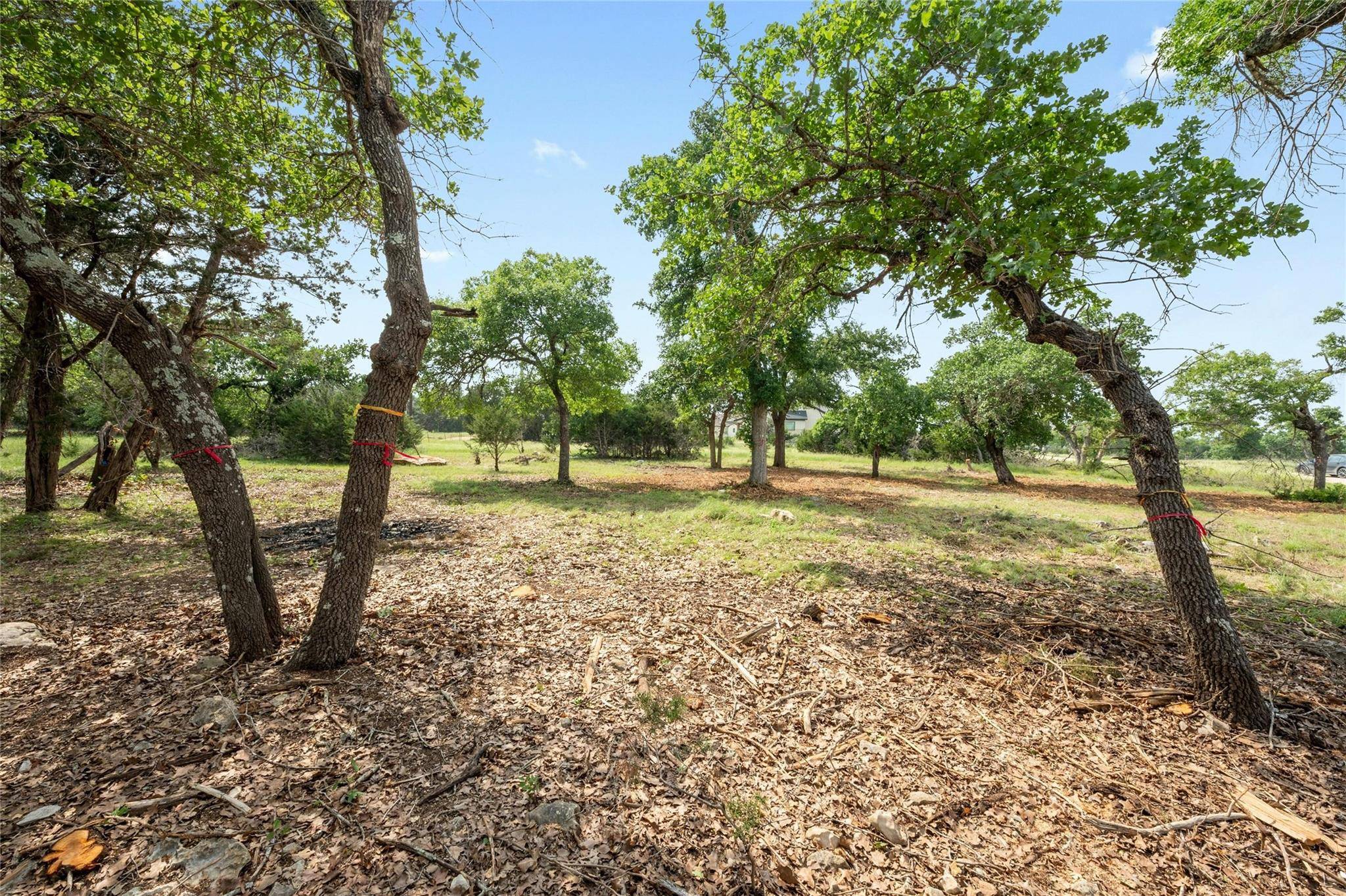 294 Mae PT, Dripping Springs, TX 78620