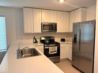 167 Northern Pintail, Uhland, TX 78640