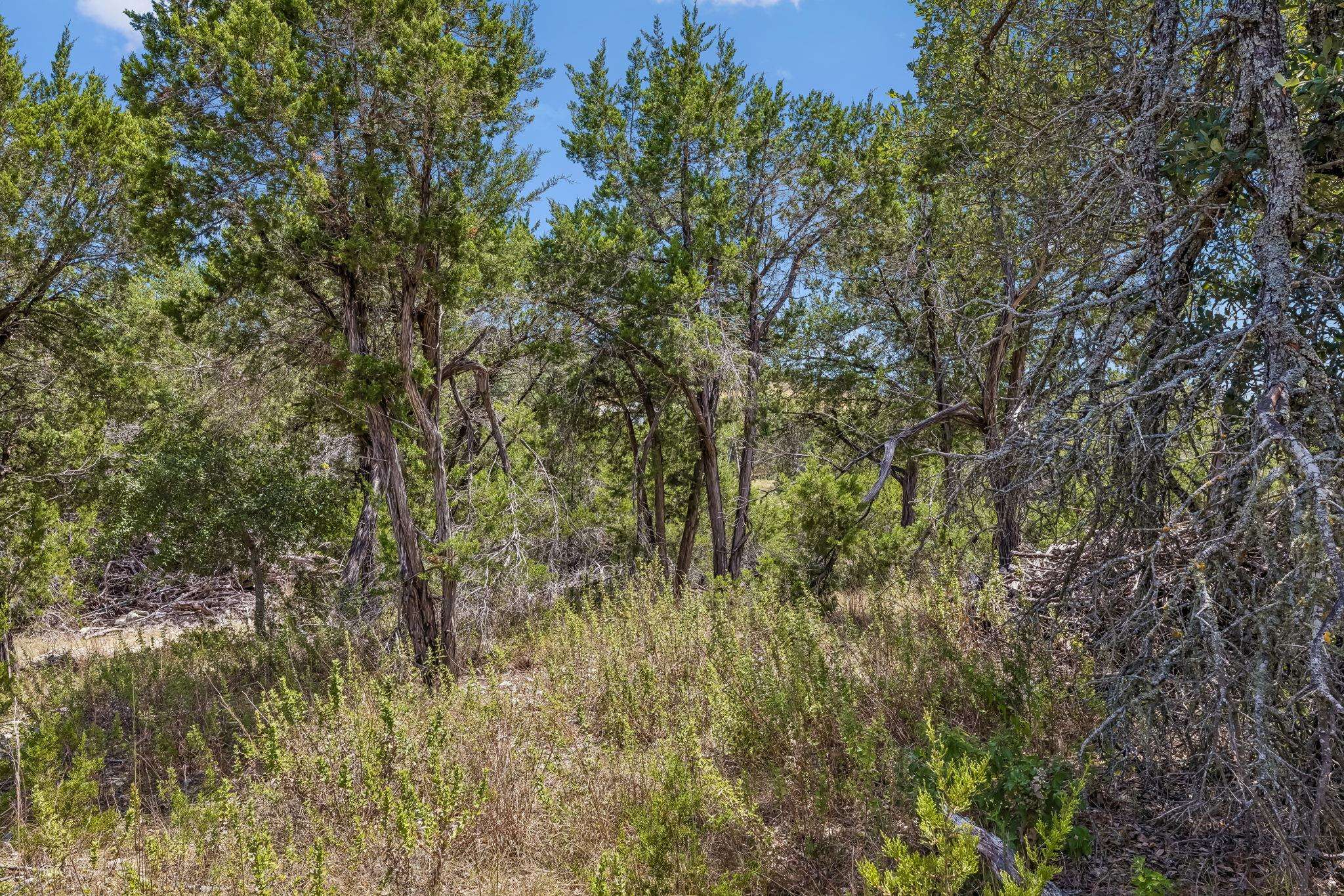 Lot 1B Evergreen WAY, Austin, TX 78737