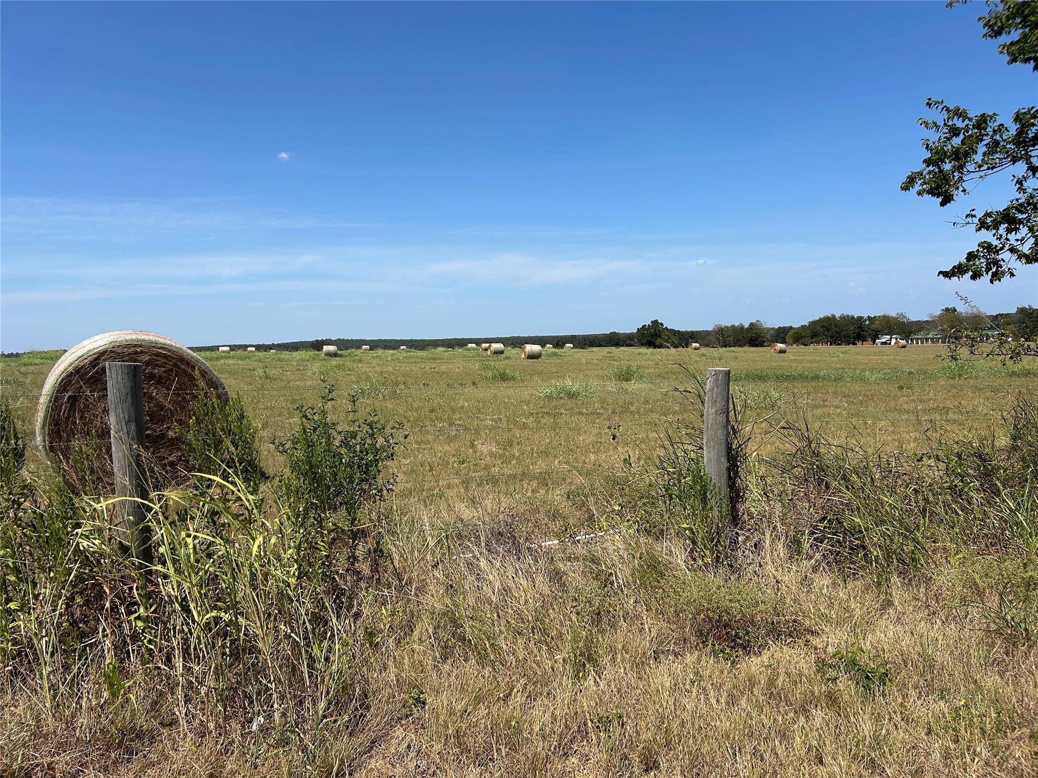 TBD E SH 21 HWY, Paige, TX 78659