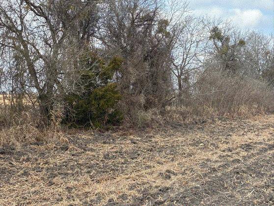 CR 3061 lot 2 HWY, Thorndale, TX 76577