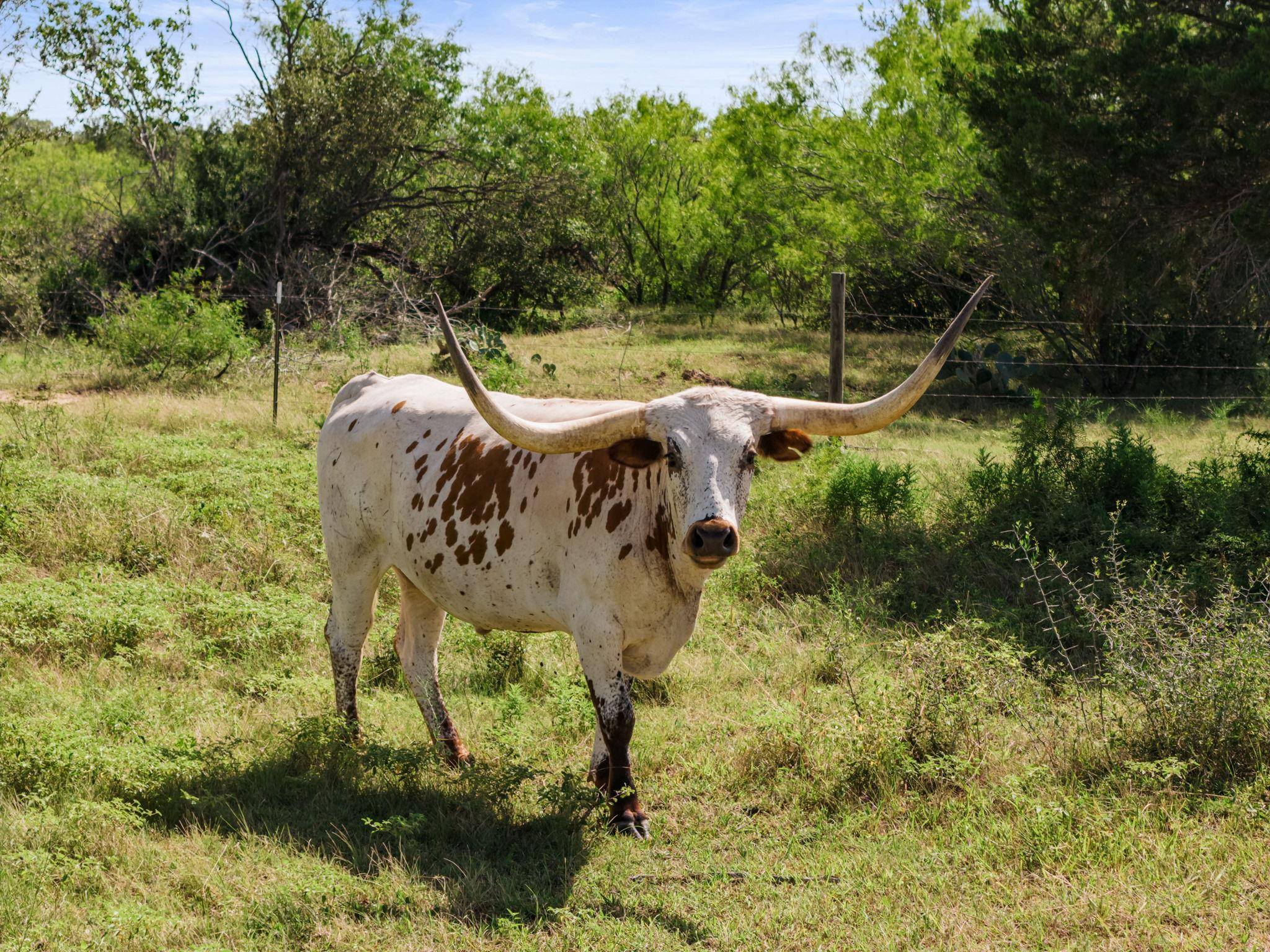 625 Callihan RD, Luling, TX 78648