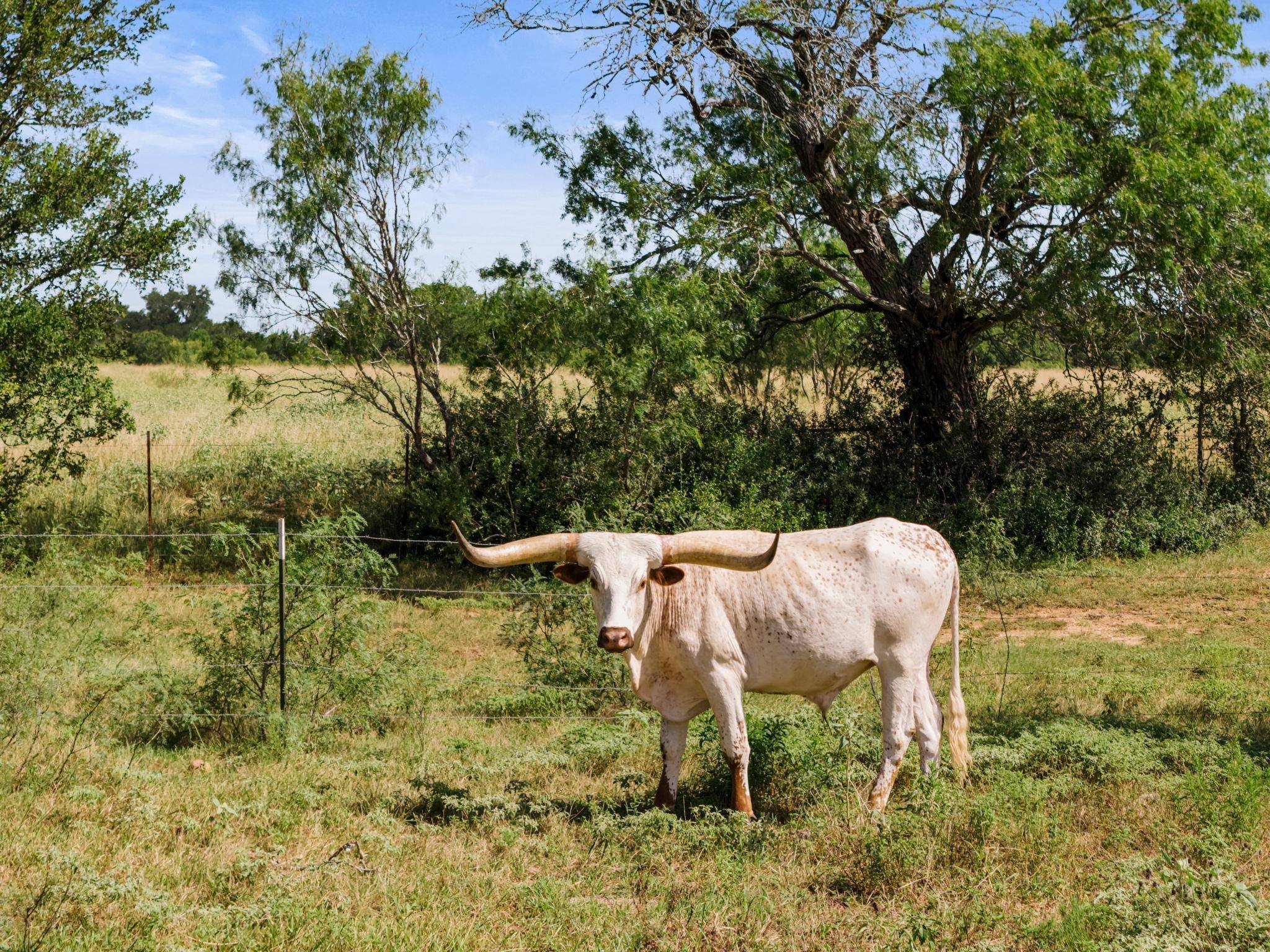 625 Callihan RD, Luling, TX 78648