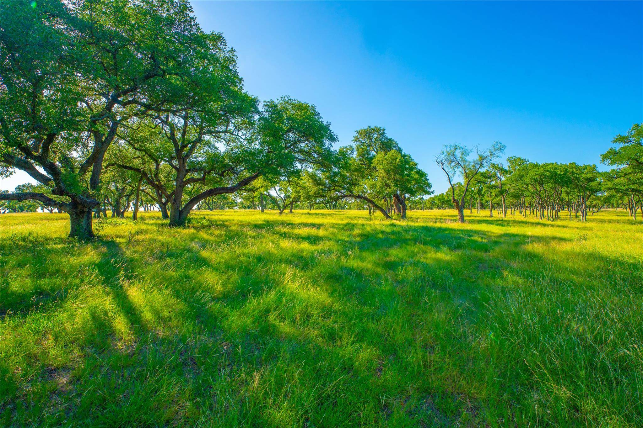 0 Rocky Creek RNCH, Johnson City, TX 78636