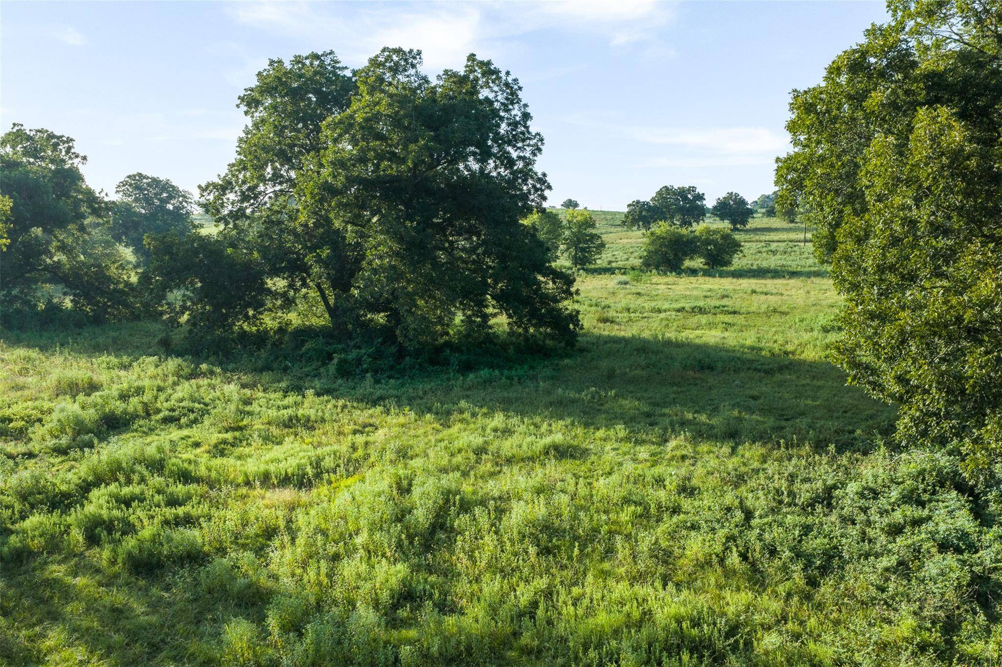 TBD LCR 721, Thornton, TX 76653