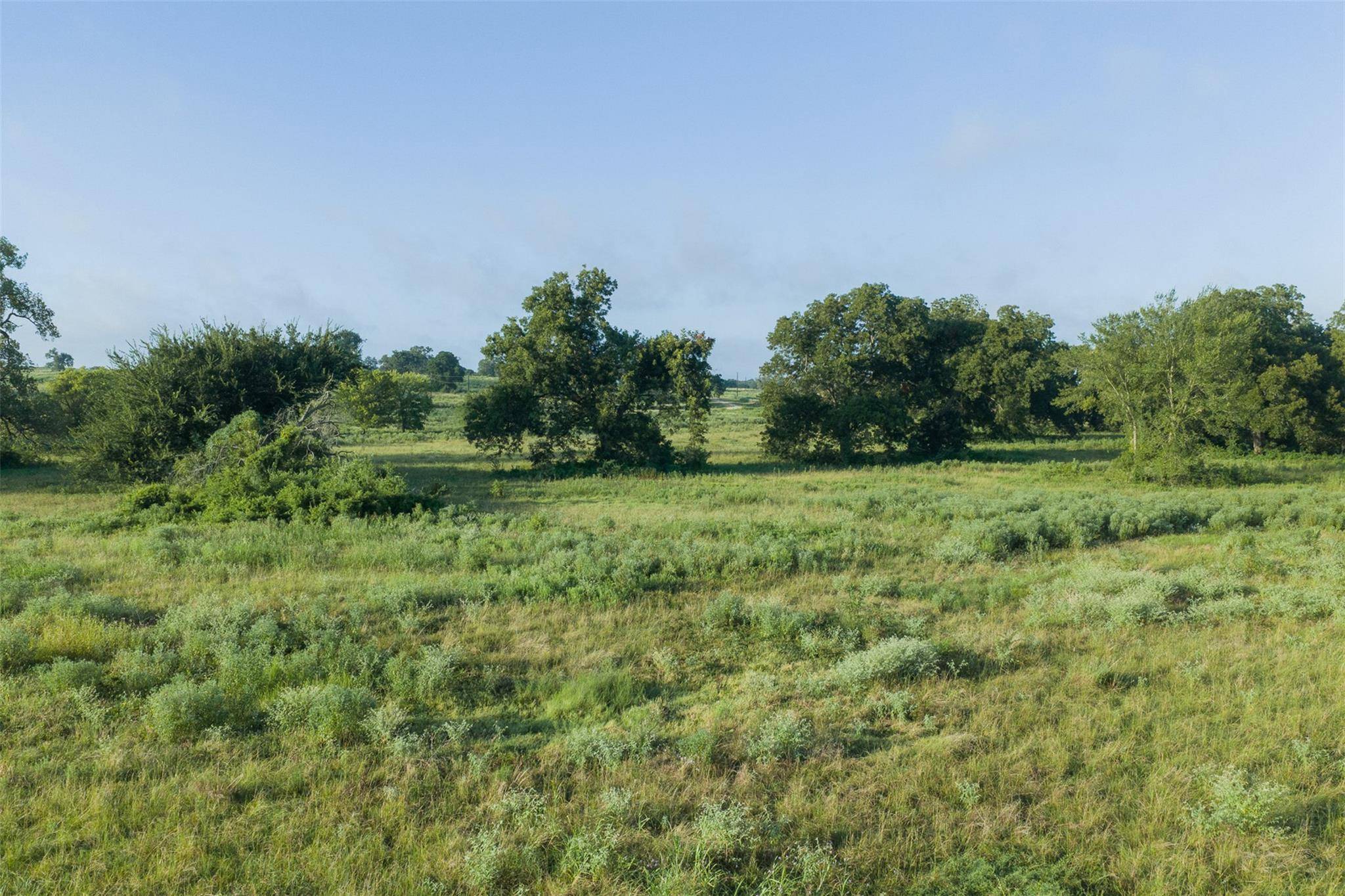 TBD LCR 721, Thornton, TX 76653