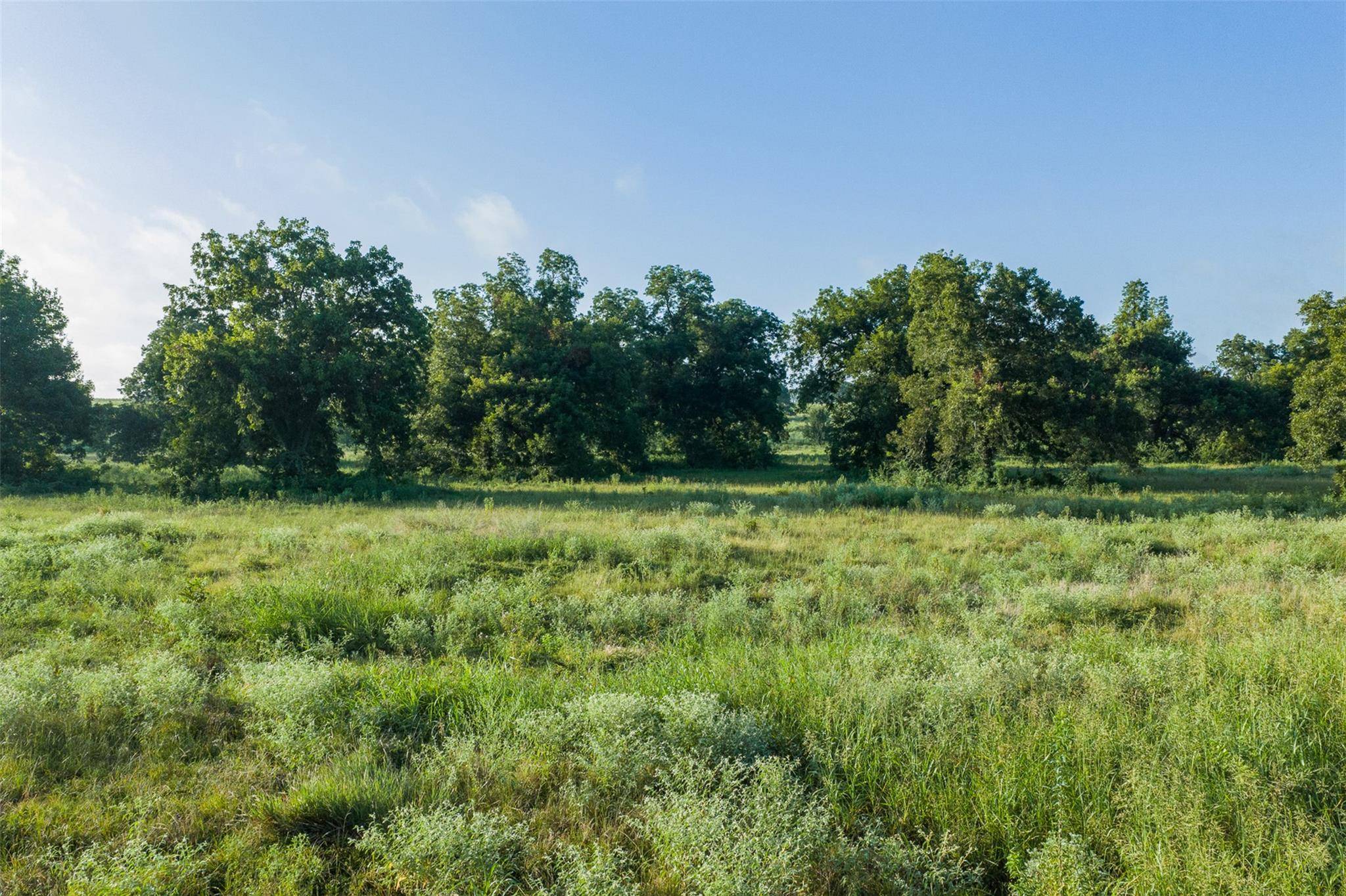 TBD LCR 721, Thornton, TX 76653