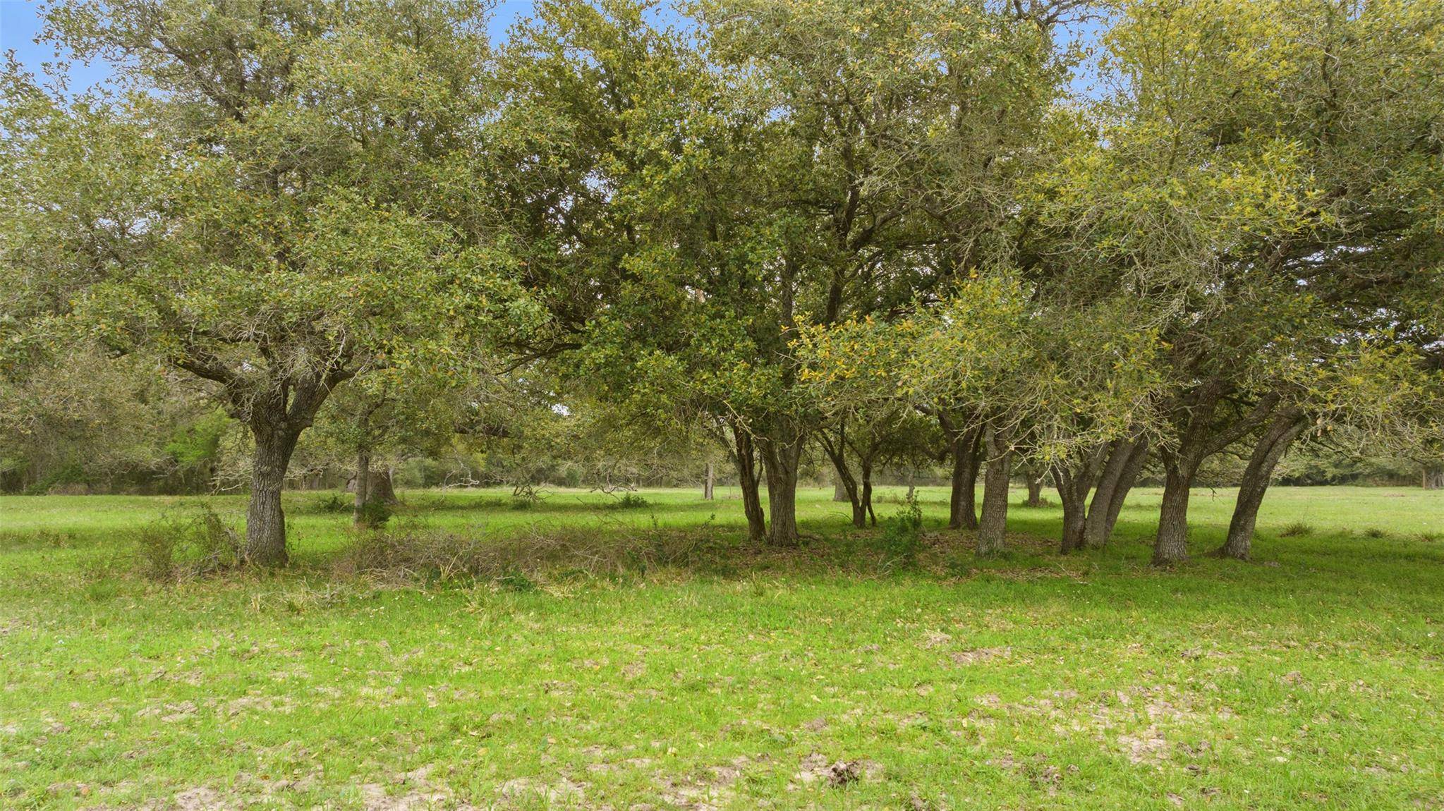 Lot 2 County Road 123, Edna, TX 77957