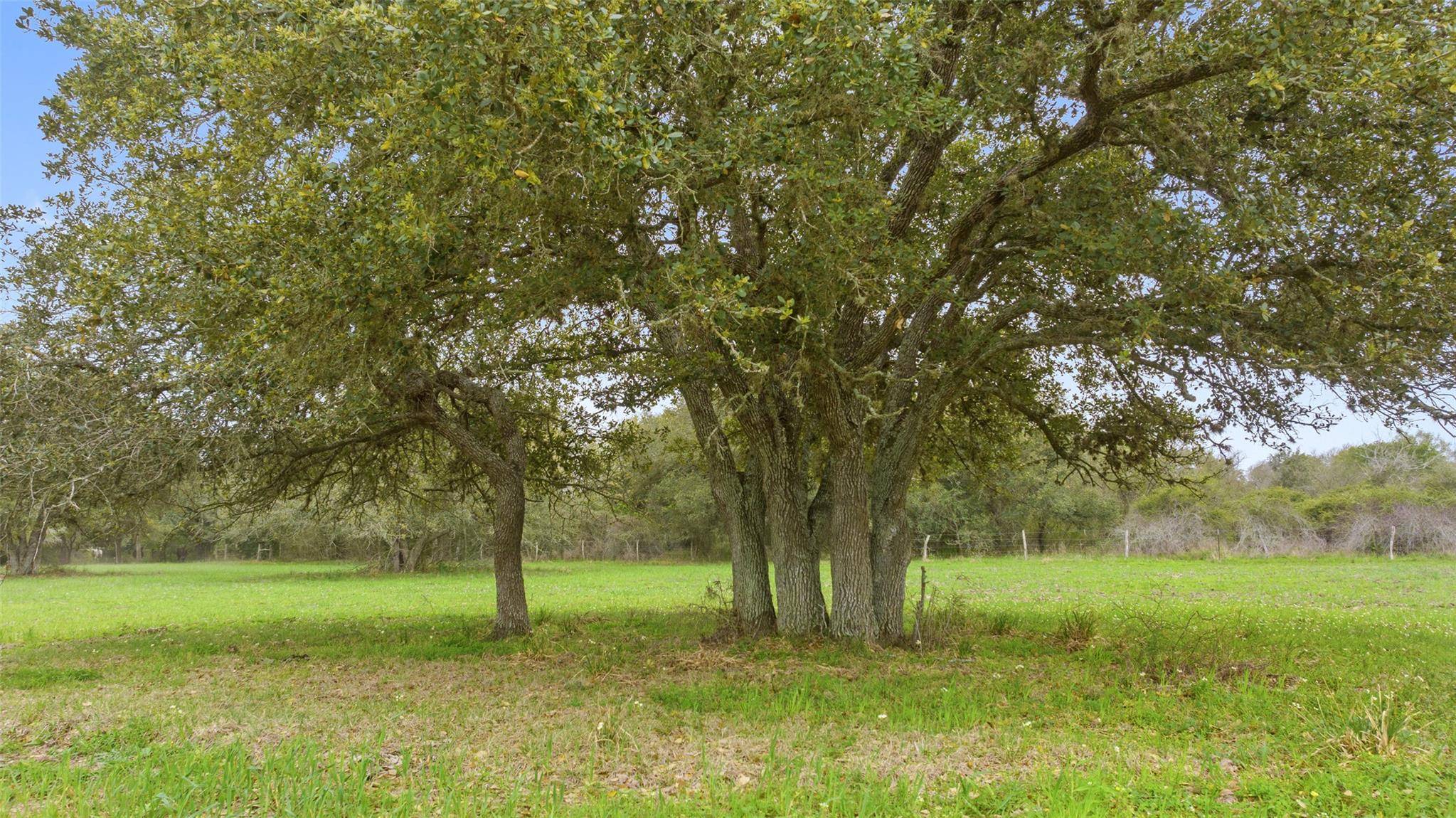 Lot 2 County Road 123, Edna, TX 77957