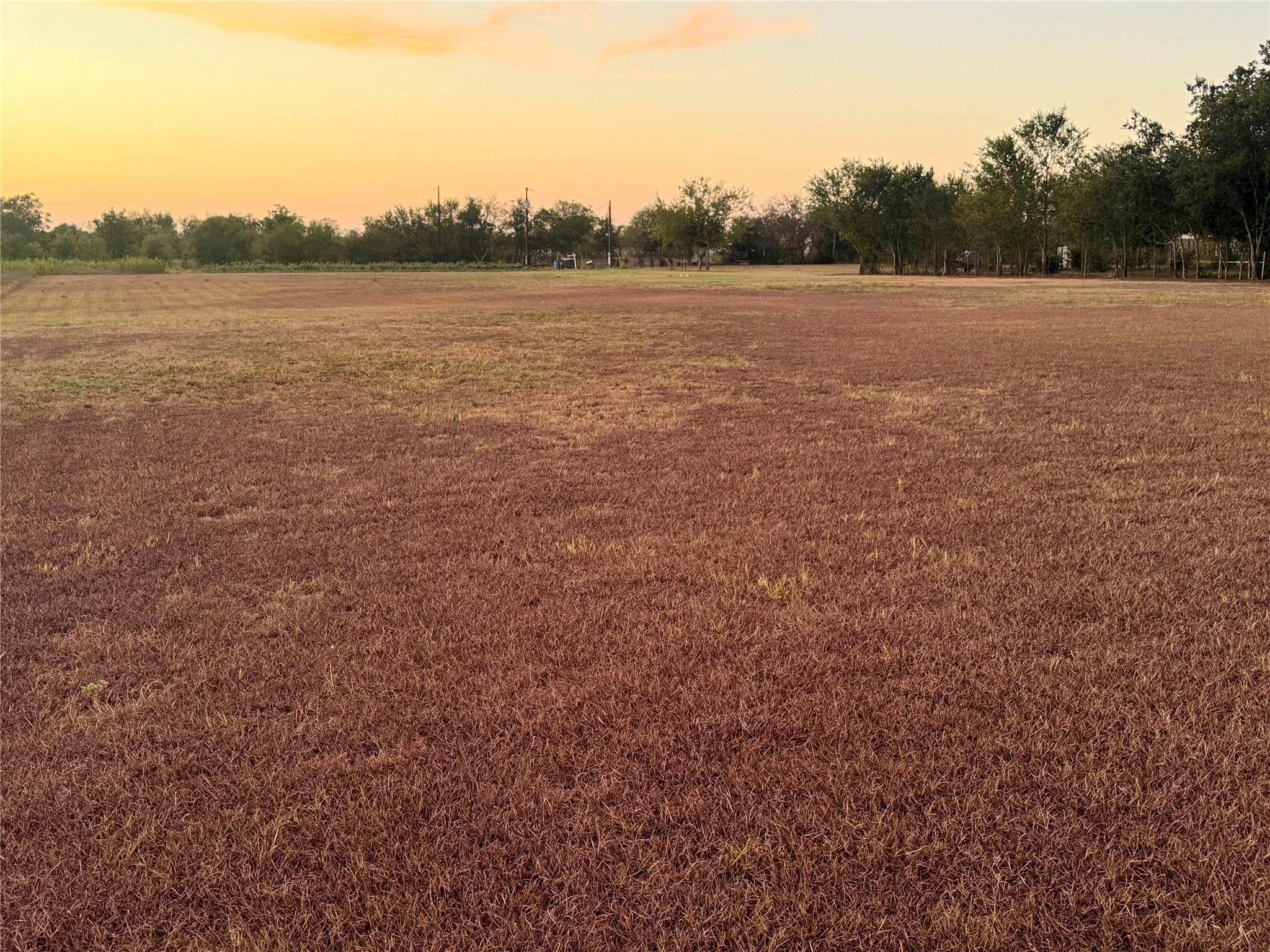2206 Sandra LN, Webberville, TX 78653
