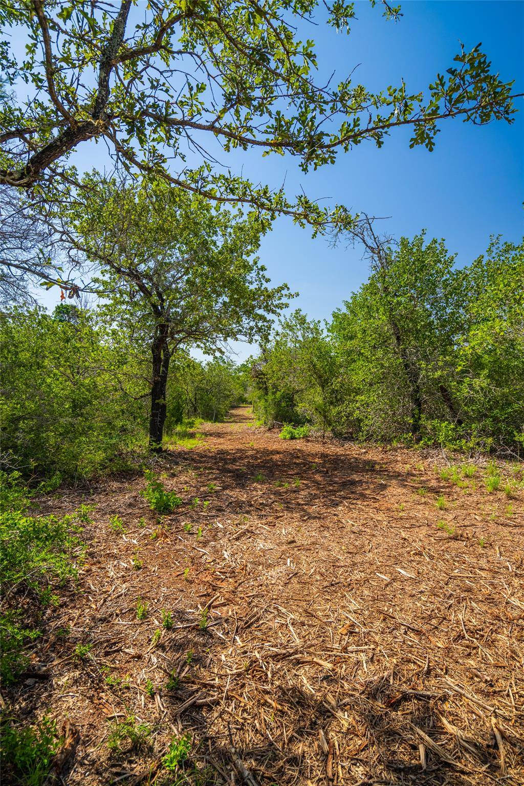 1247 Sand Hills Road, Rosanky, TX 78953