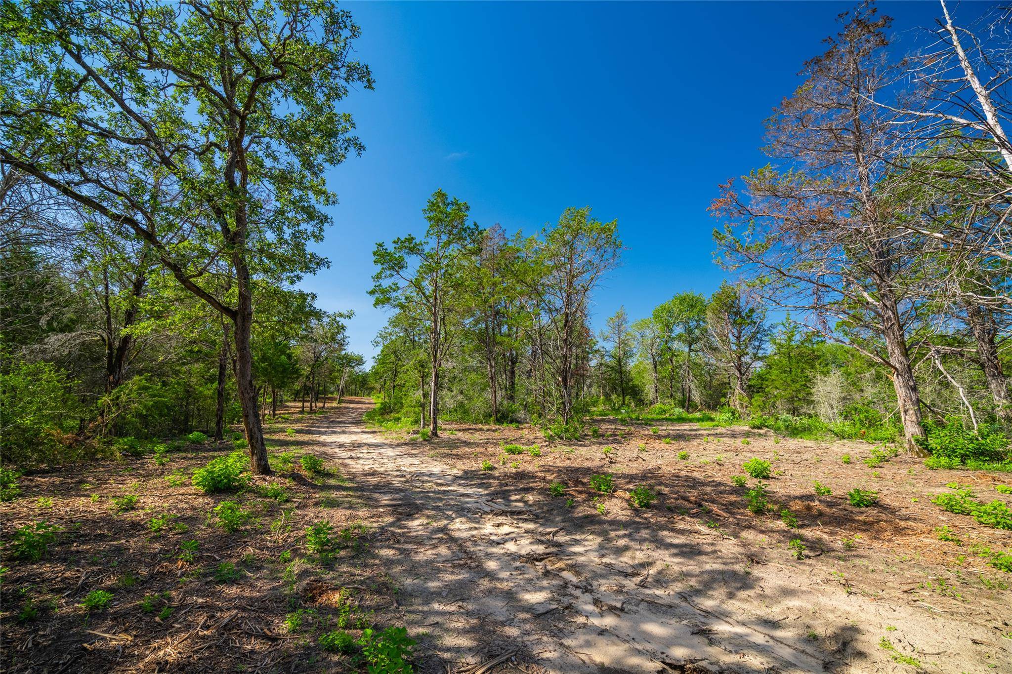 1247 Sand Hills Road, Rosanky, TX 78953