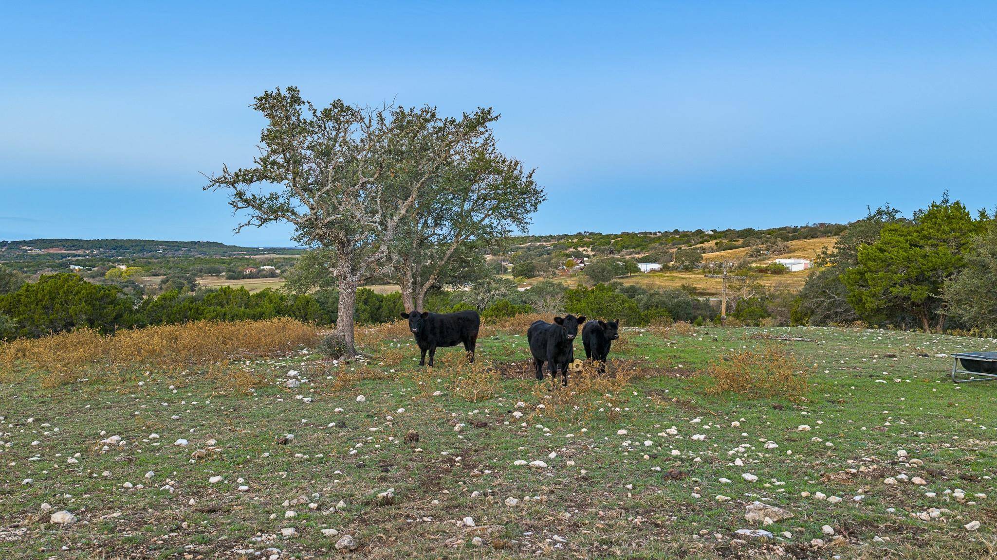 4237 County Road 330 RD, Burnet, TX 78611