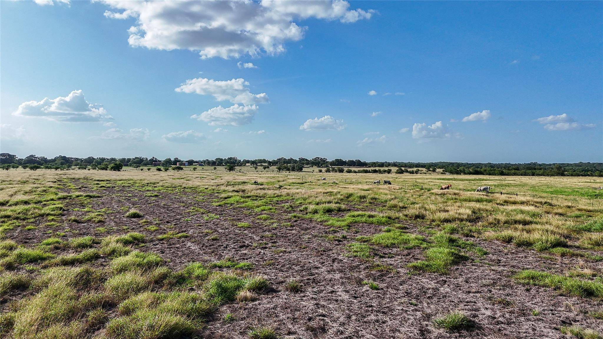 2179 E Highway 237, Round Top, TX 78954