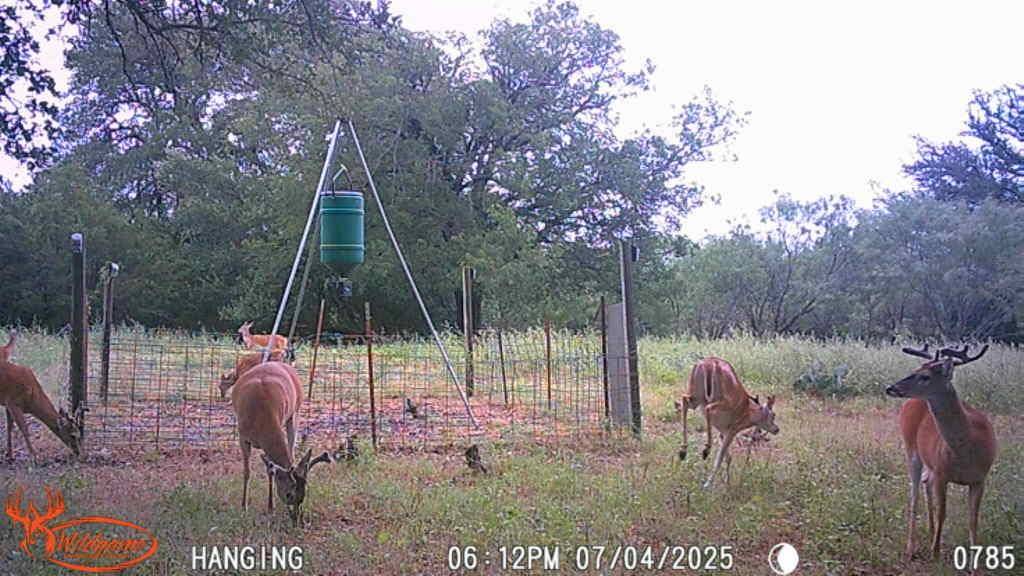 TBD FM 3023, Goldthwaite, TX 76844
