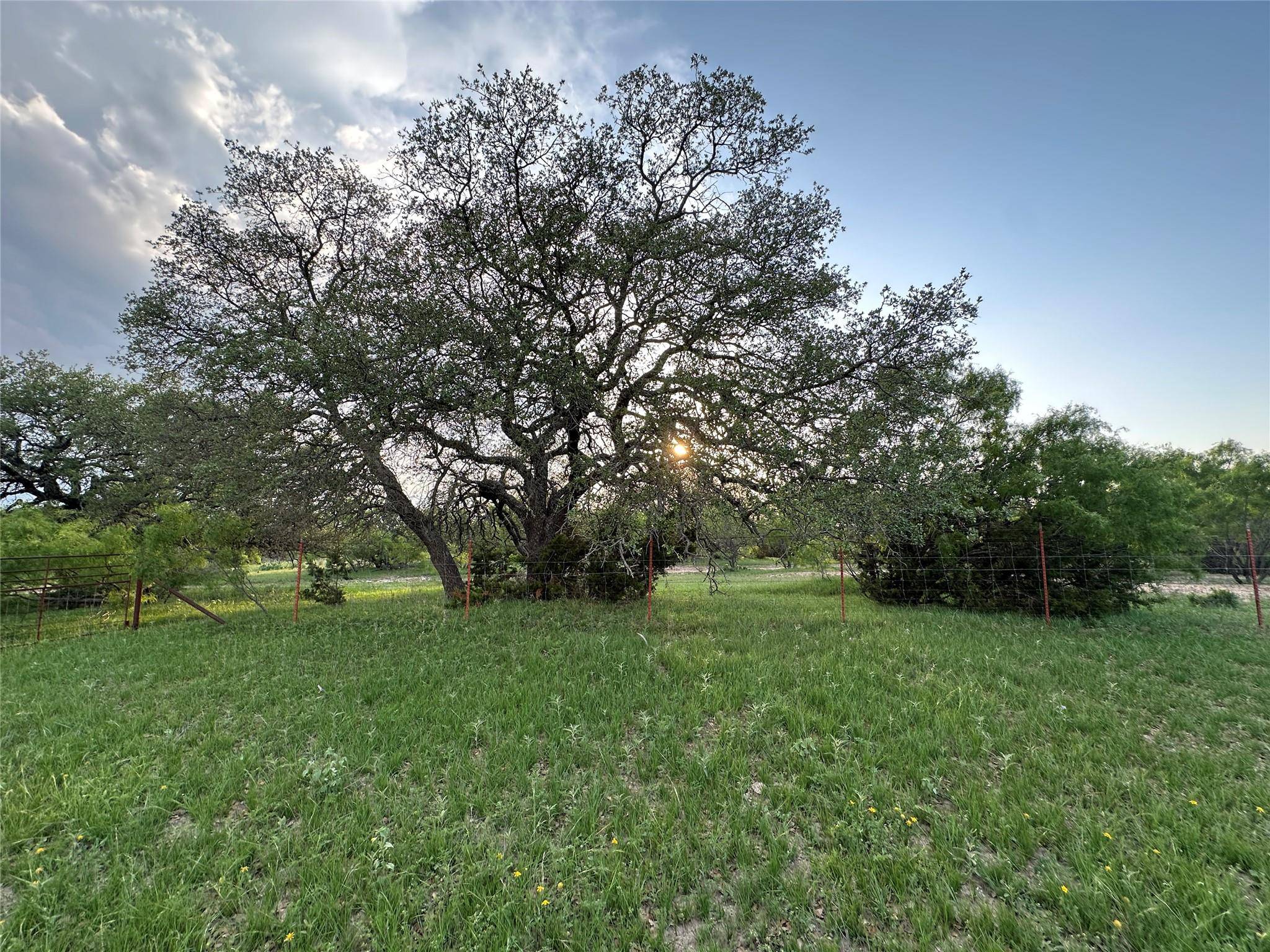 TBD FM 3023, Goldthwaite, TX 76844