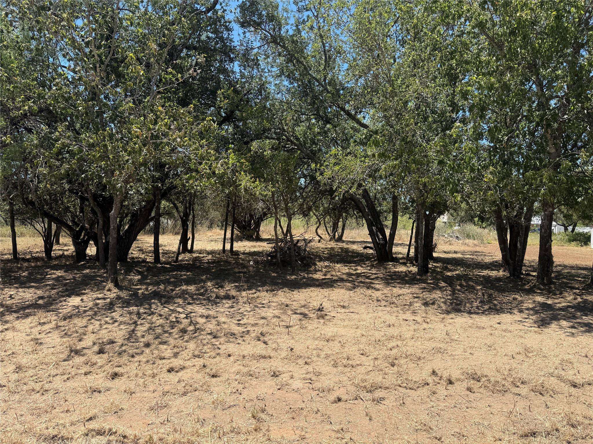 Lot #494 Driftwood LN, Cottonwood Shores, TX 78657