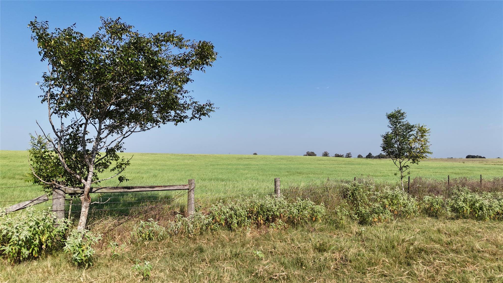 TBD County Road 326 - Tract 5, Giddings, TX 78942