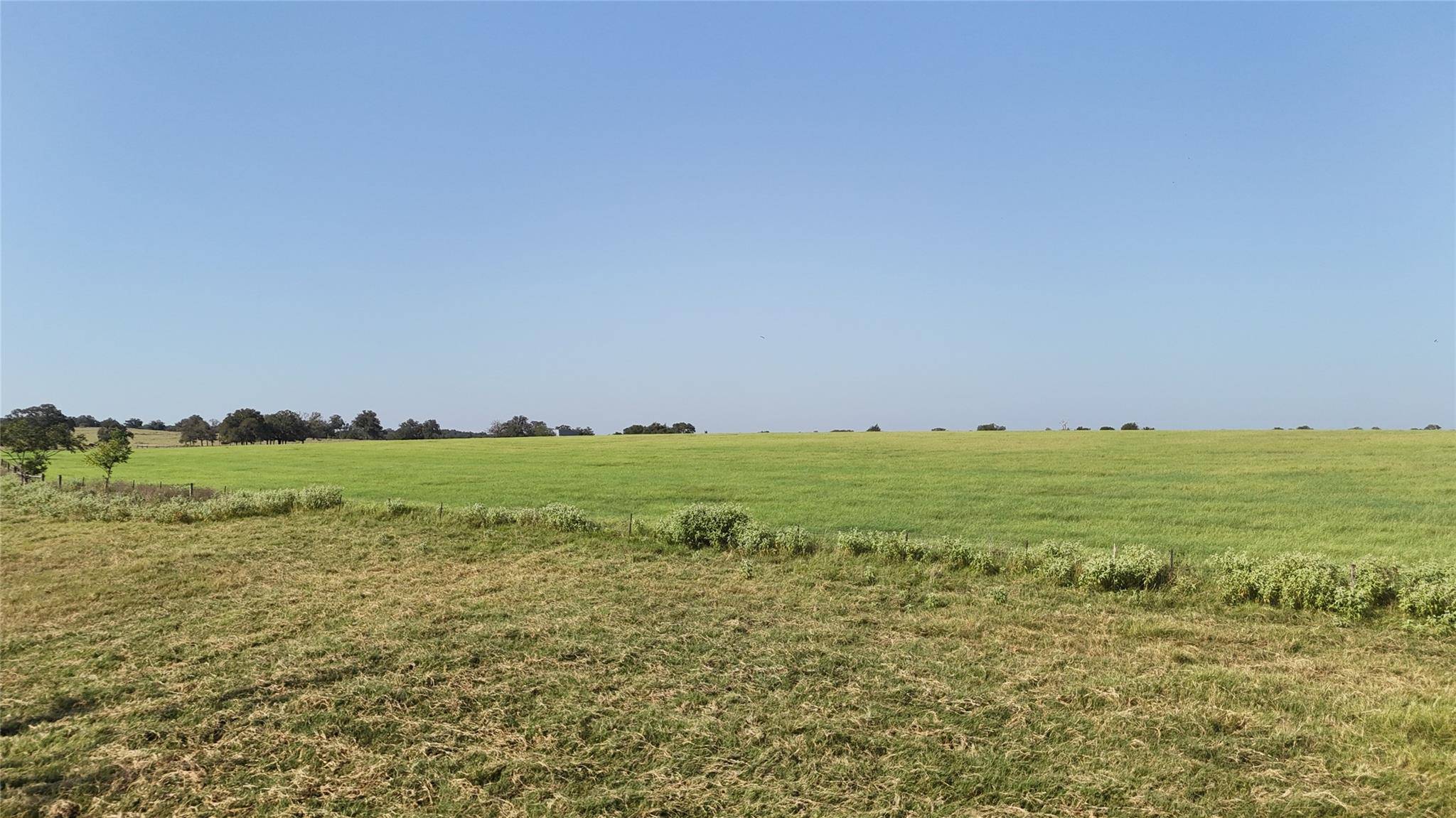 TBD County Road 326 - Tract 5, Giddings, TX 78942