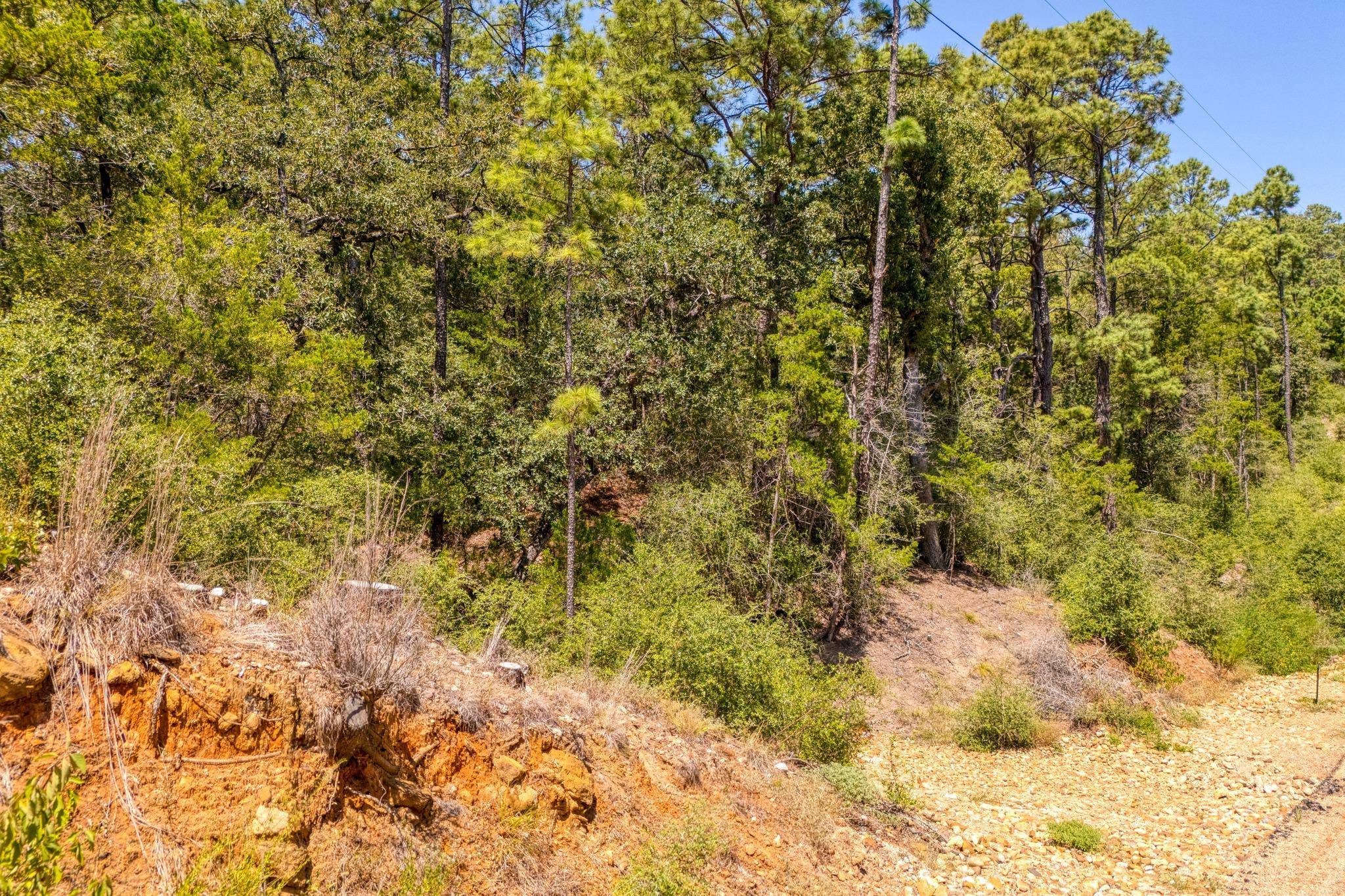 168 Molokini DR, Bastrop, TX 78602