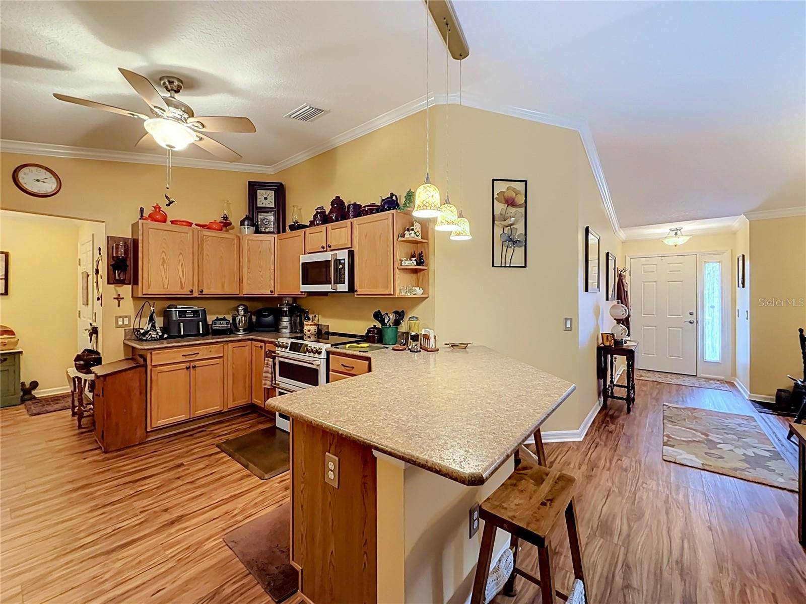 1016 MATTHEW AVE, Lady Lake, FL 32159