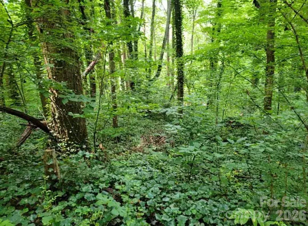 0 Rock Broad River RD #21, Hendersonville, NC 28792