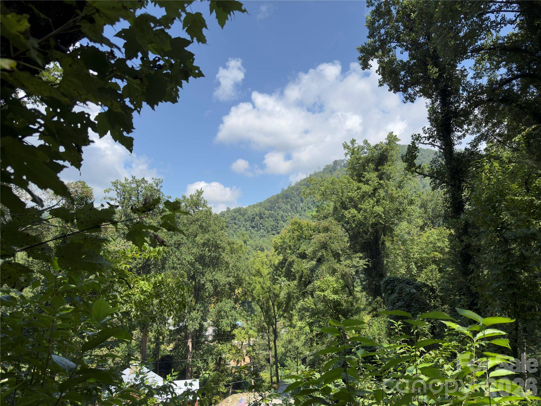 0 Rock Broad River RD #21, Hendersonville, NC 28792