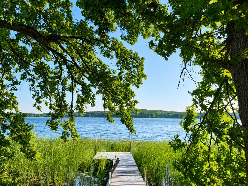 17731 Upper Spunk Lake RD, Avon, MN 56310