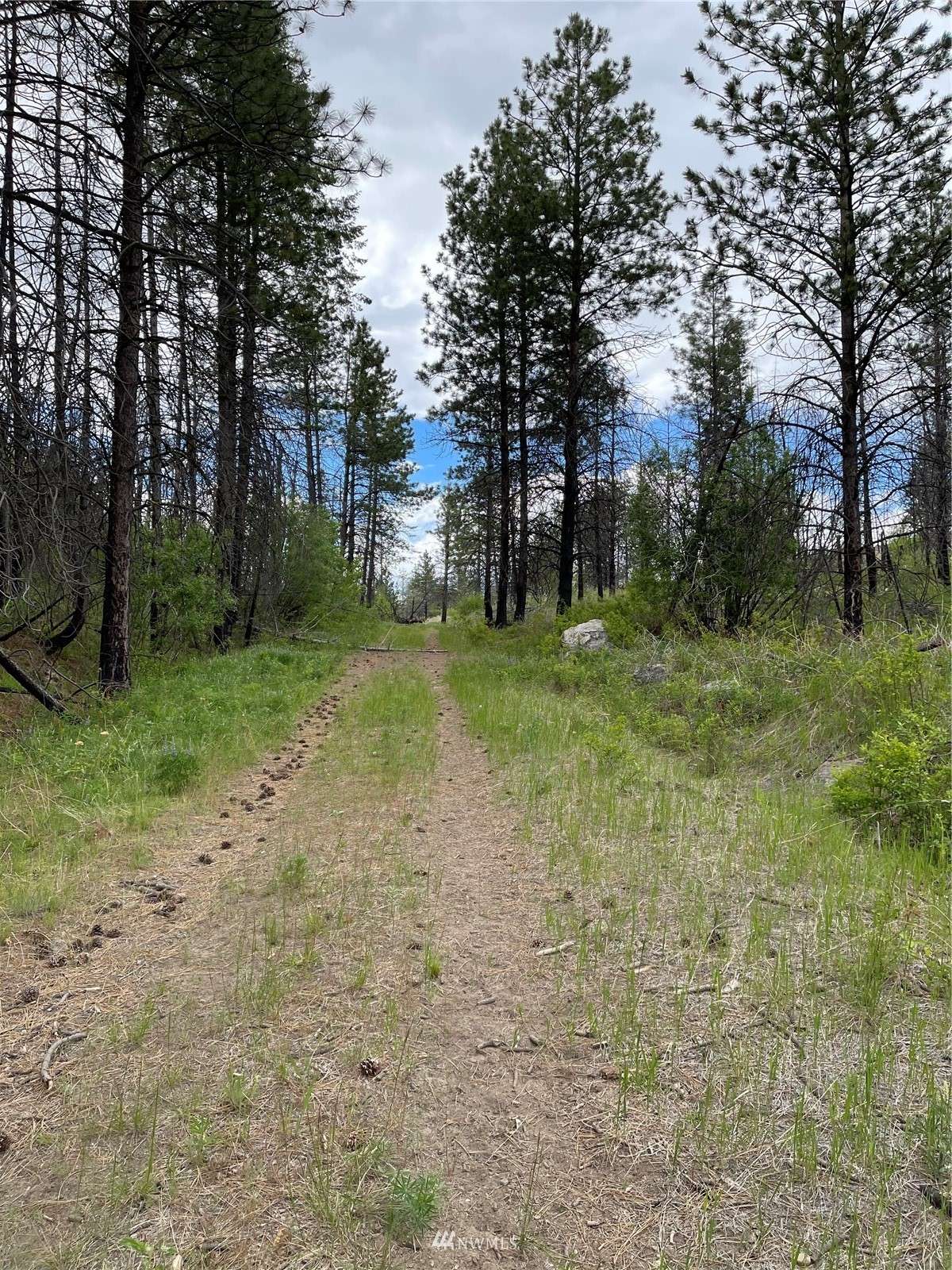 0 960X Knox RD, Riverside, WA 98849