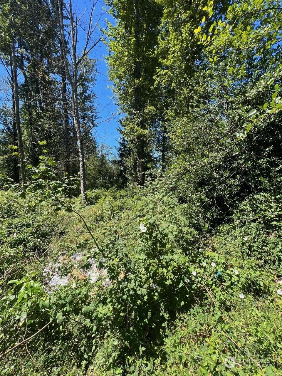 14000 Center RD, Everett, WA 98204