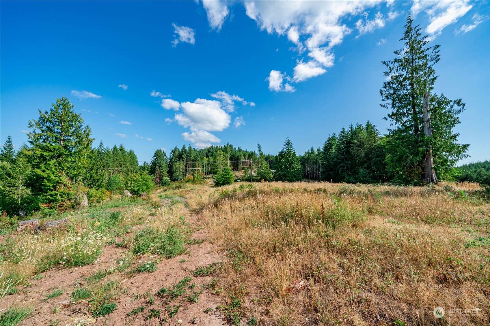 0 S Silver Lake Lot #8 RD, Castle Rock, WA 98611