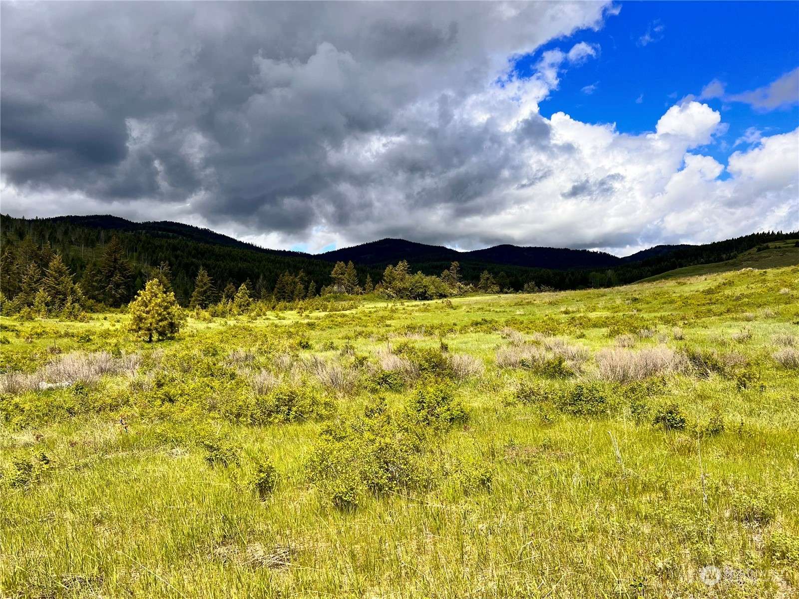0 TBD Big Goosmus Crk RD, Curlew, WA 99118