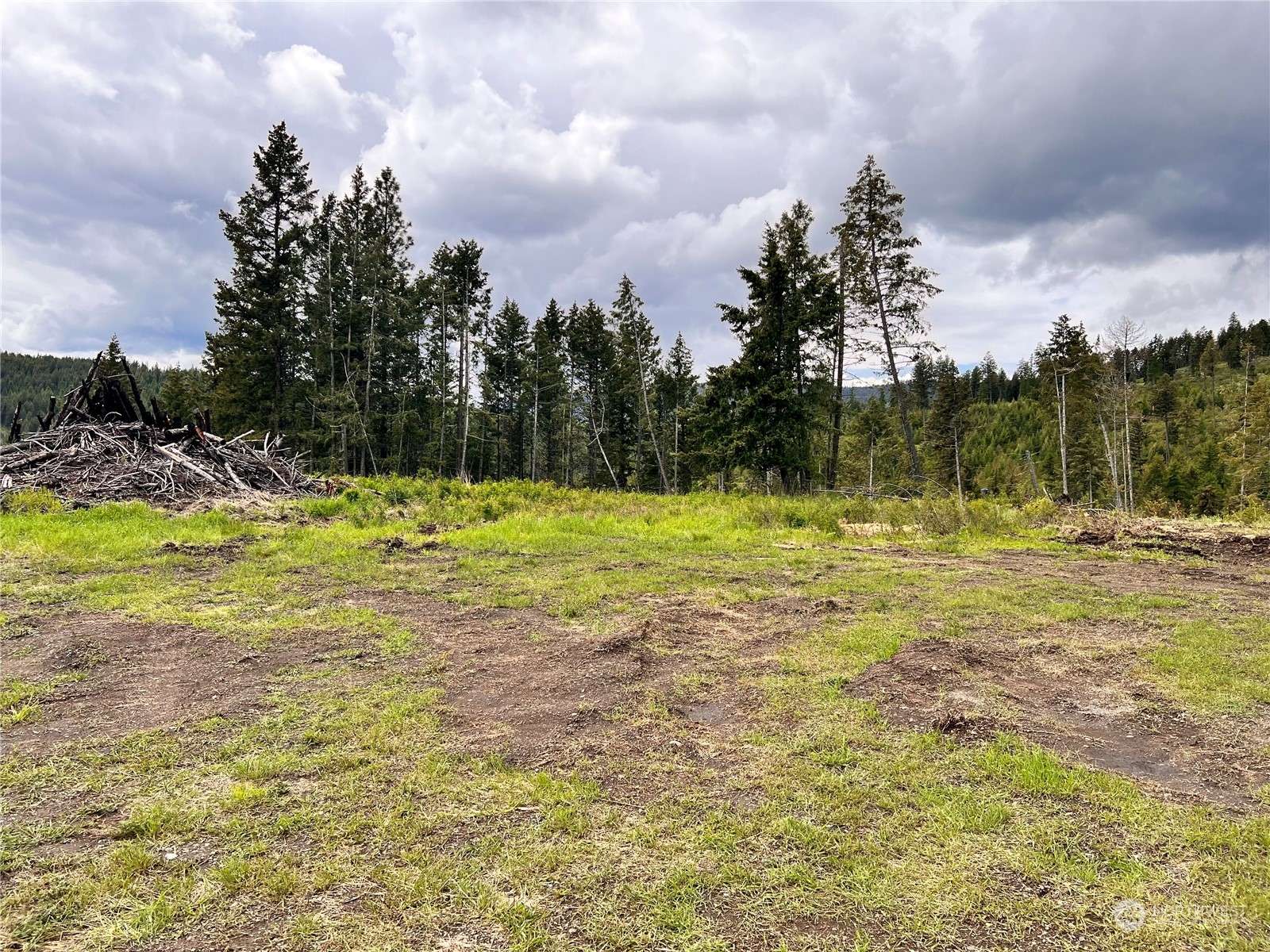 293 Big Goosmus Crk RD, Curlew, WA 99118