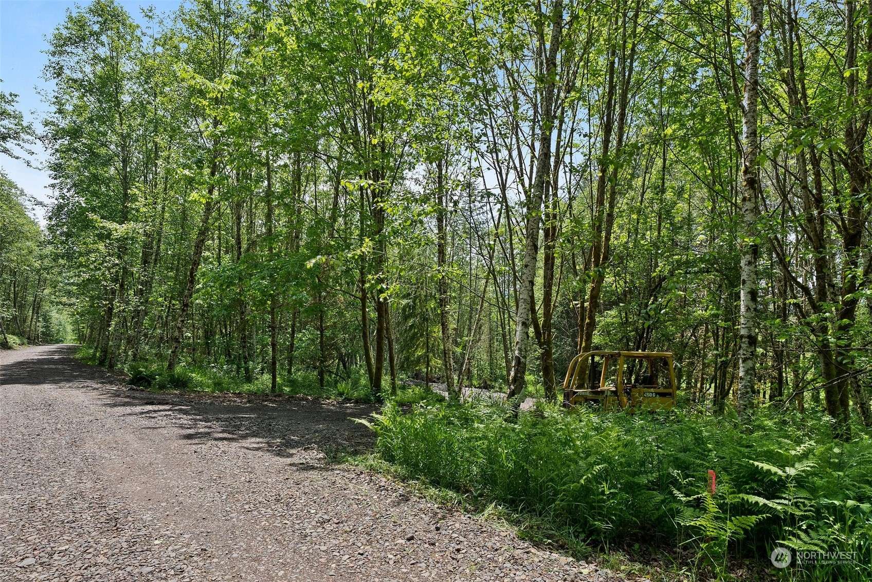 162 Owl Creek LN, Morton, WA 98356