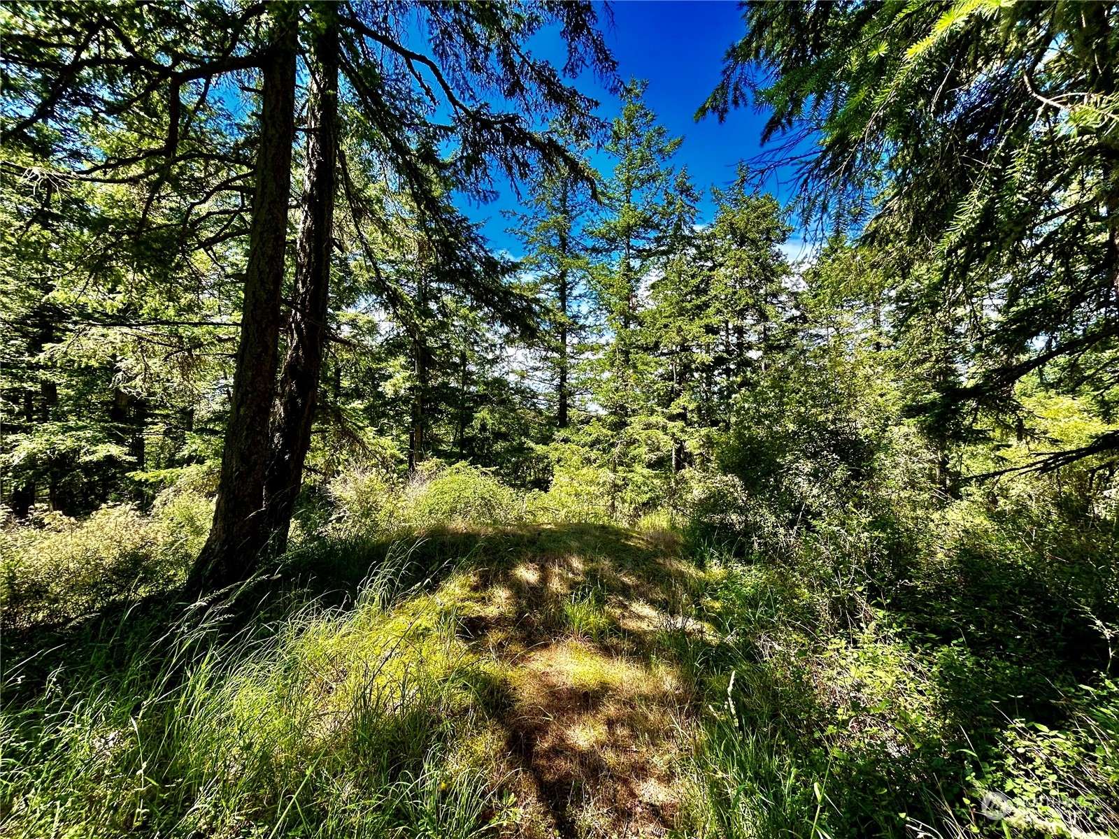 0 Salmonberry LN, Friday Harbor, WA 98250