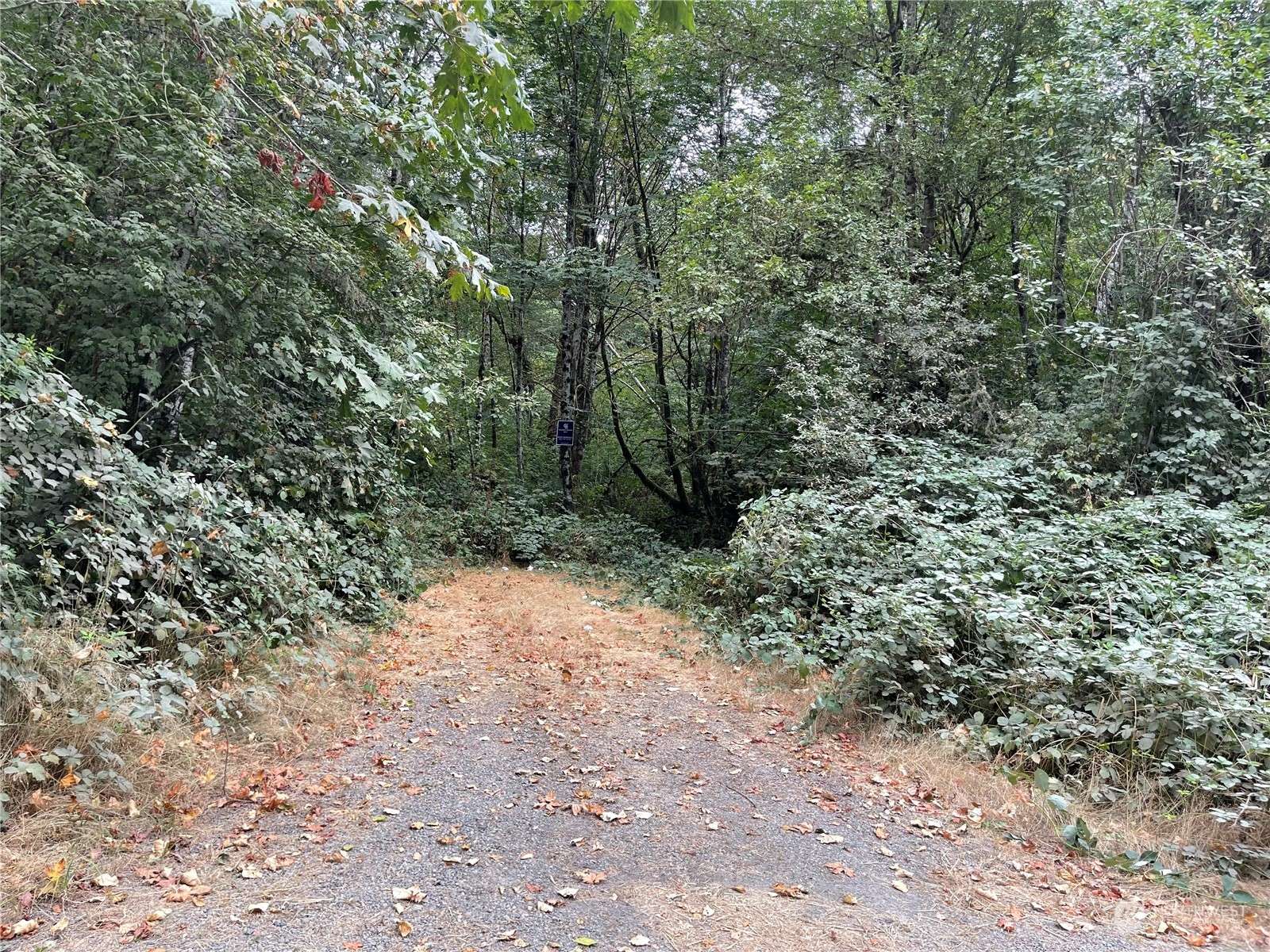 217 XX Thompson Creek Road, Tenino, WA 98589