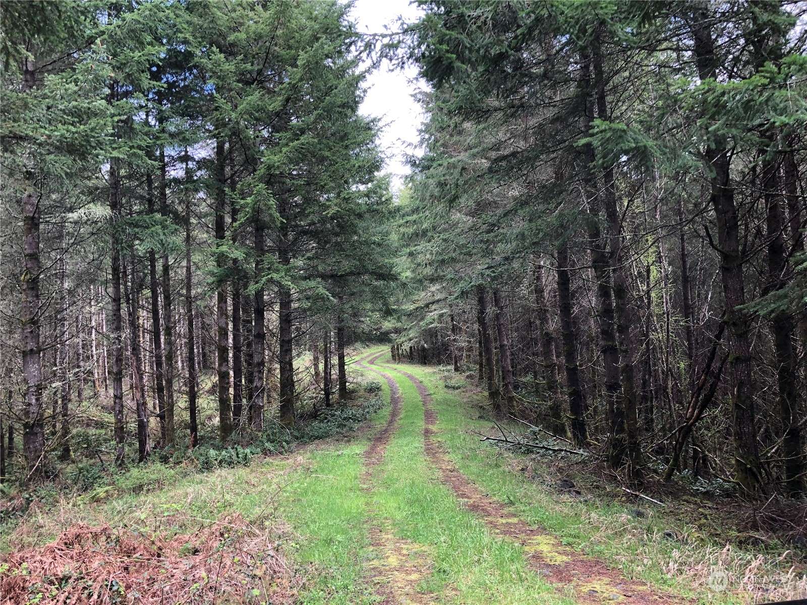 217 XX Thompson Creek Road, Tenino, WA 98589