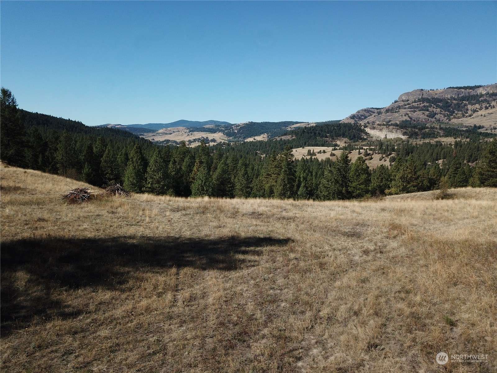 68 Jostin LN, Malo, WA 99150