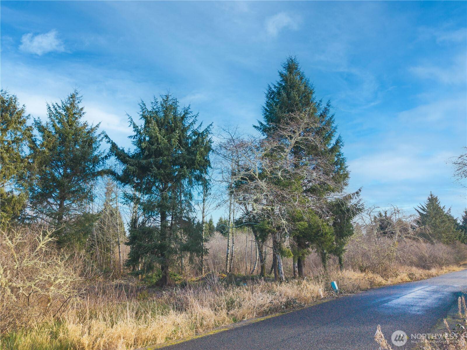 3507 102nd ST, Long Beach, WA 98640