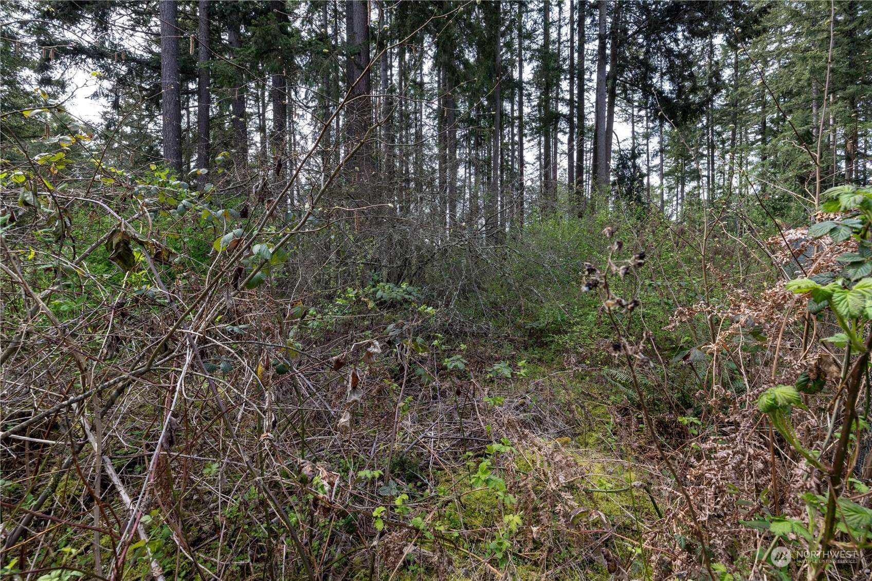 0 (Lot 3) 95th Avenue Ct E, Graham, WA 98338