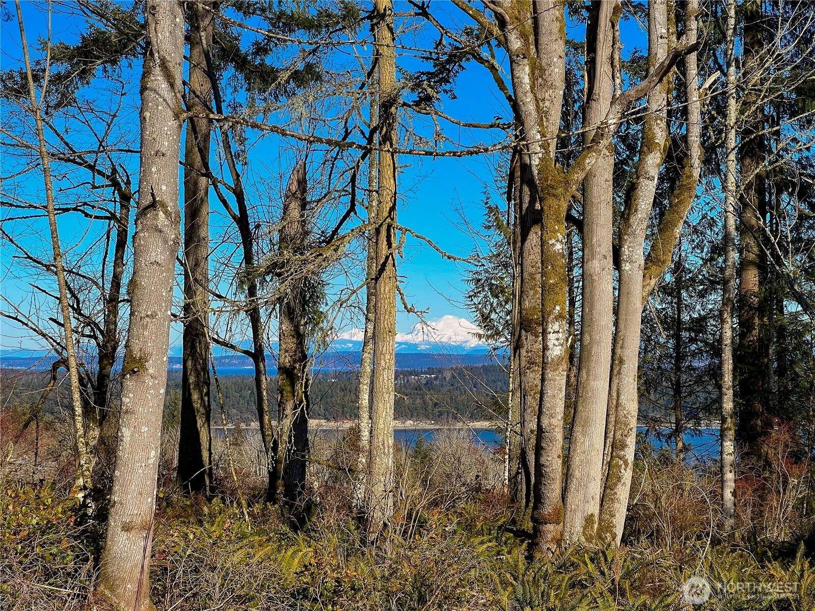 2998 Oak Bay RD, Port Hadlock, WA 98339