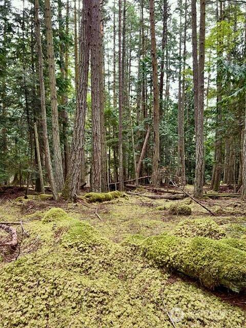 0 Lot 27 Peavine Way, Obstruction Island, WA 98279
