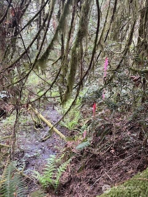 2902 136th ST NW, Gig Harbor, WA 98332