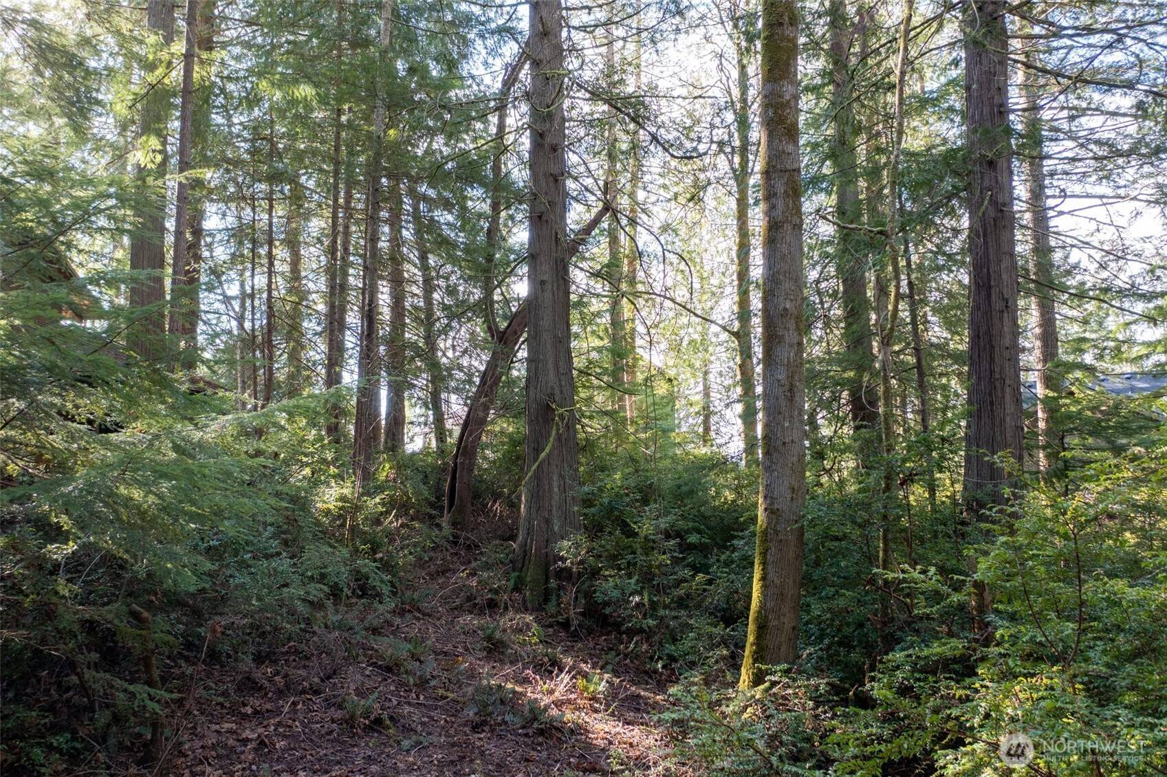 432 E Pointes DR E, Shelton, WA 98584