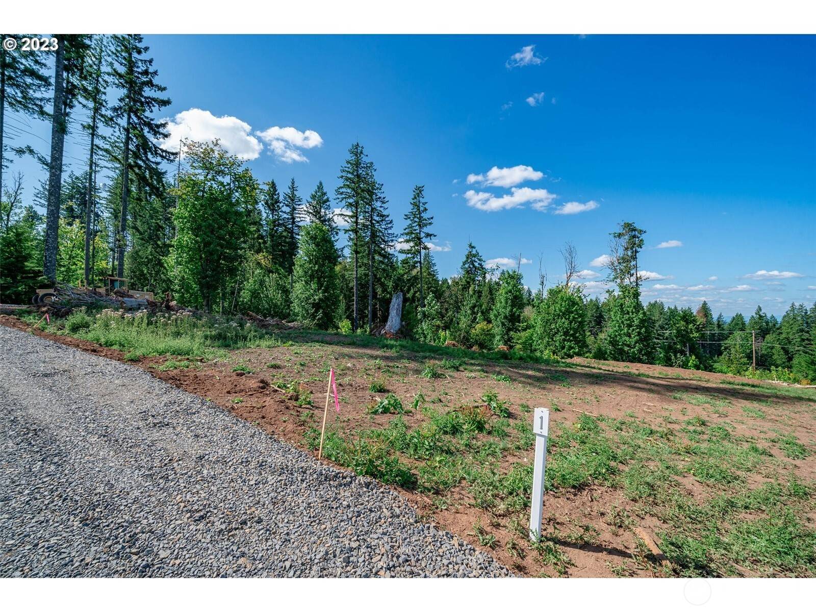 0 S Silver Lake Lot #1 RD, Castle Rock, WA 98611