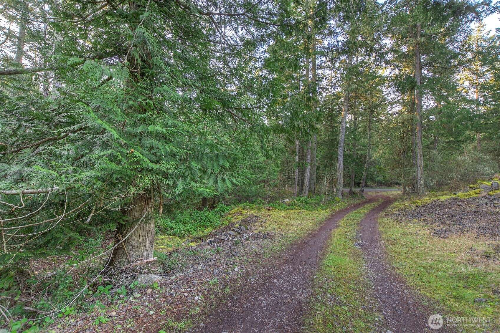 1536 Neck Point RD, Shaw Island, WA 98286