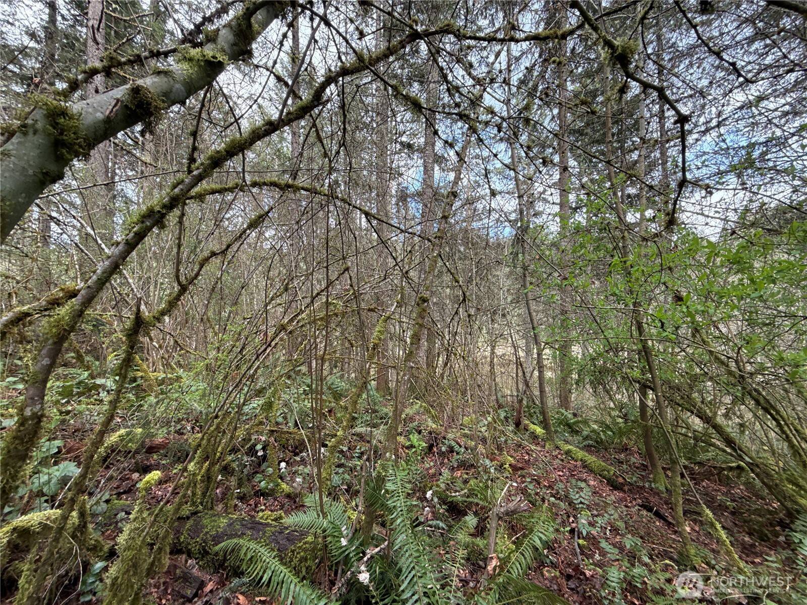 17636 E Clear Lake BLVD SE, Yelm, WA 98597